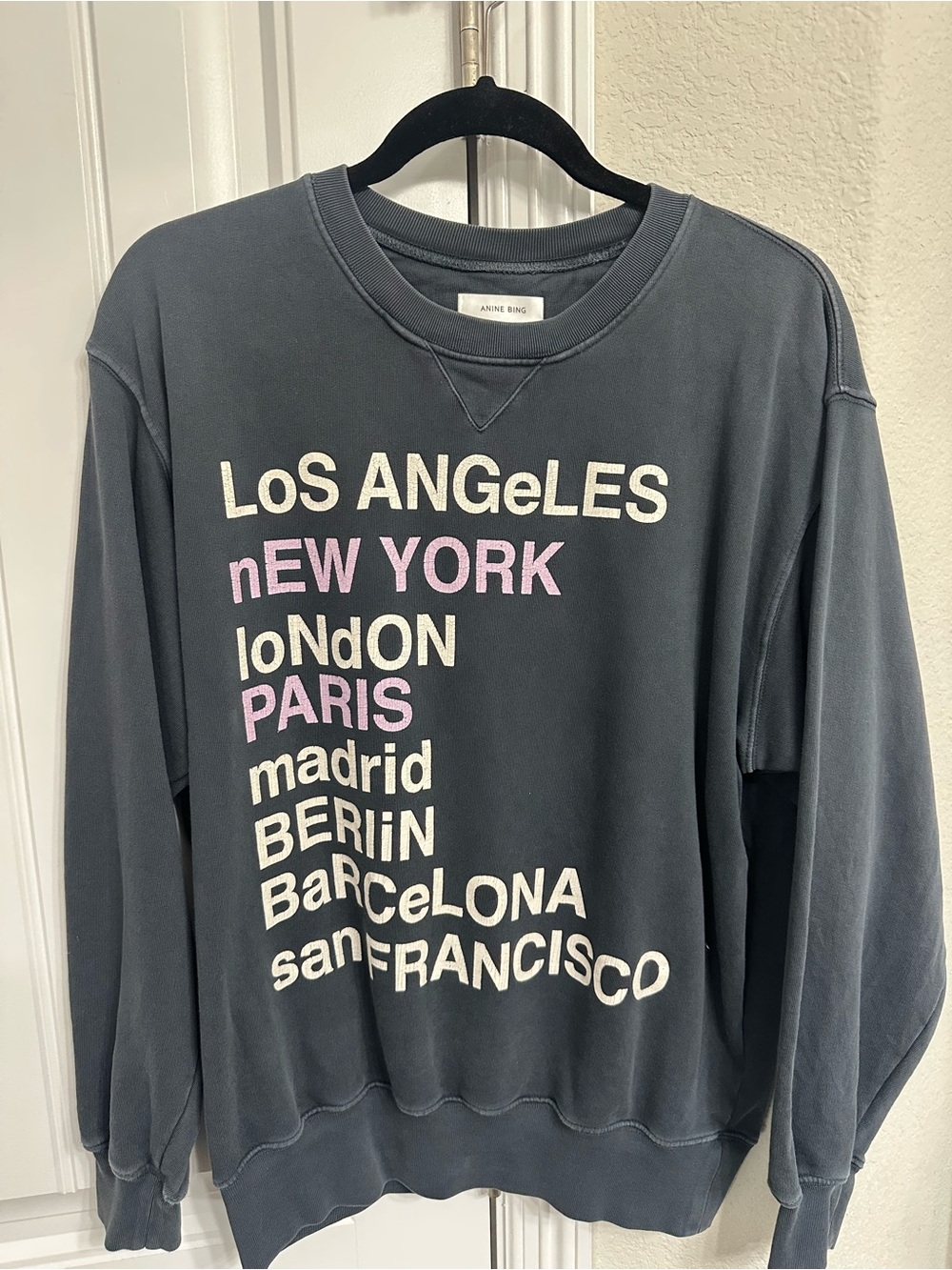 Anine Bing Crewneck Sweatshirt in Slate Gray with Pink & Cream City Print